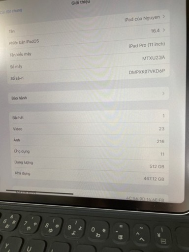 Ipad pro 11 第一世代　512GB