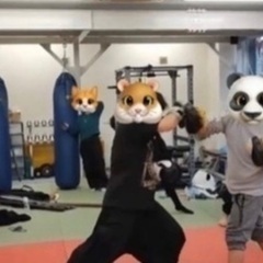 明日！格闘技&コンバットラープの練習会