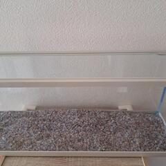 鑑賞魚🐠水槽「スリムタイプ」