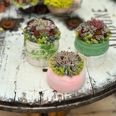 2日間で取得可能/エコレジンクラフクラフト™️認定講師講座の画像