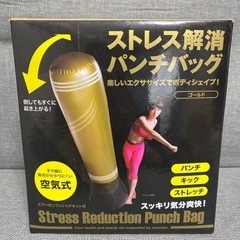 【受け渡し決定】ストレス解消 パンチバッグ
