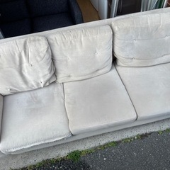 本日限定無料‼️3人掛けソファ✨️ ソファー アイボリーの画像