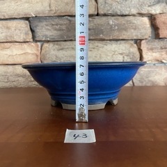 No.43 盆栽鉢　ブルー　丸　中浅　外縁　陣笠の画像