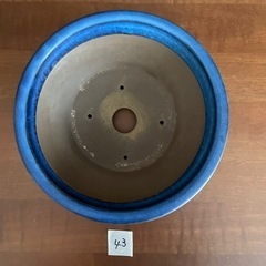 No.43 盆栽鉢　ブルー　丸　中浅　外縁　陣笠の画像