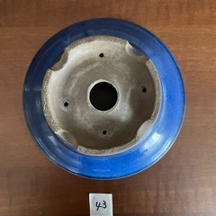 No.43 盆栽鉢　ブルー　丸　中浅　外縁　陣笠の画像