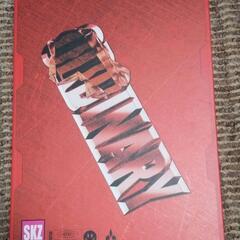 Stray Kids ODDINARY CD 赤　スキズ
