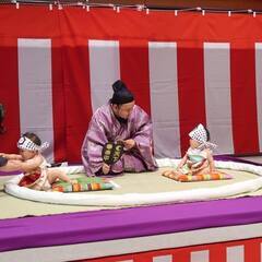 【梅田から１駅】わっしょい泣き相撲　玉水場所２０２３ - 育児