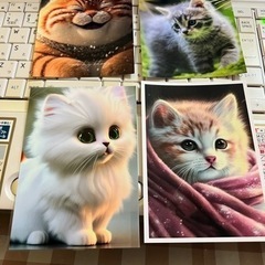 写真 猫 4枚の画像