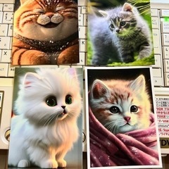 写真 猫 4枚
