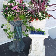 🌸ガーデニング専門店と花と緑に囲まれた花カフェ☕の画像