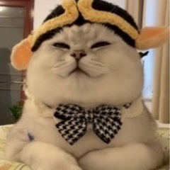 日常清掃