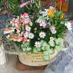🌸ガーデニング専門店と花と緑に囲まれた花カフェ☕の画像