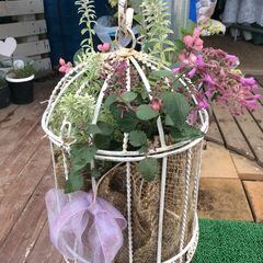 🌸ガーデニング専門店と花と緑に囲まれた花カフェ☕の画像