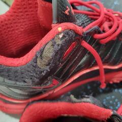 ナイキ　ズームアップテンポ　バッシュの画像