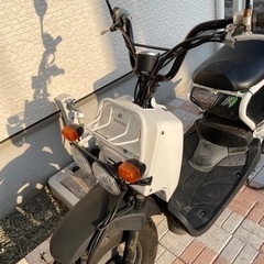 ズーマーの画像