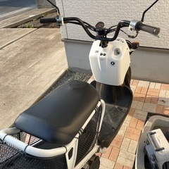 ズーマーの画像
