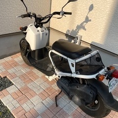 ズーマーの画像
