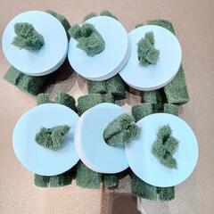 メダカ産卵床セットの画像