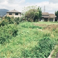 行橋市長木　半年間賃料無料😭事業者向け　250坪と事務所🌽現況渡し