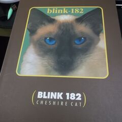 バンドスコア BLINK 182 