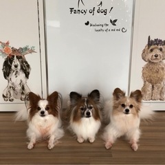 ワンコミーティング🐶