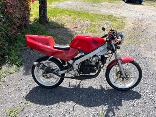 546. 動画あり　ホンダ　NS-1  2スト　原付　バイク　50cc   車体