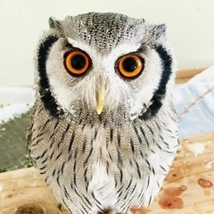 一度読んでみて下さい！女性も活躍できる現場仕事です！の画像