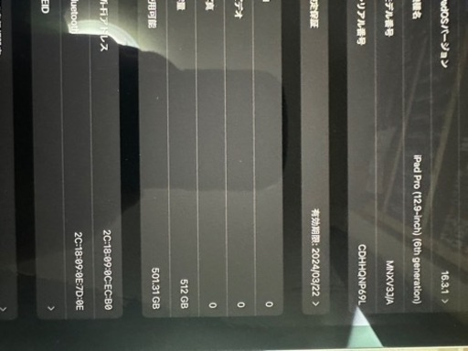 Apple iPad Pro 12.9インチ(第6世代) Wi-Fi 512GB とペン付き