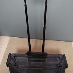 ANAキャリーバッグ(未使用)の画像