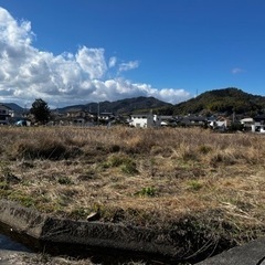 放置された田んぼの草刈り　 − 山口県