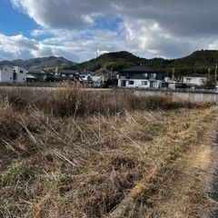 放置された田んぼの草刈り　 - 柳井市