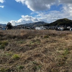 放置された田んぼの草刈り　 - 助け合い