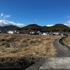 放置された田んぼの草刈り　 - 手伝って/助けて