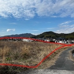 放置された田んぼの草刈り　