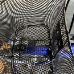 自転車差し上げます。の画像