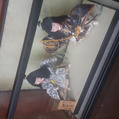 五月人形　祝太刀　久月の画像