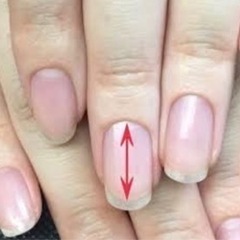 7月ネイリスト検定2級モデル募集してます！