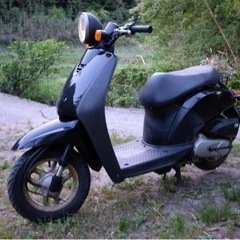 決まりました。手続き中【お年玉価格】人気のホンダ　トゥデイ　実用車