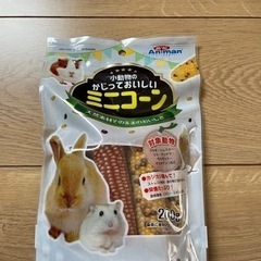 【決まりました】小動物　かじっておいしいミニコーン　未開封