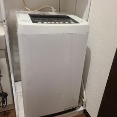 綺麗目です！