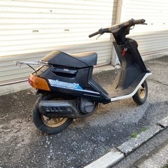 チャンプ の画像