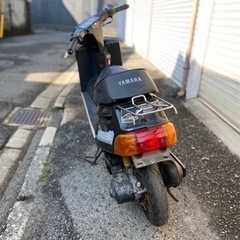 チャンプ の画像
