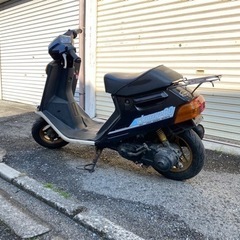 チャンプ の画像