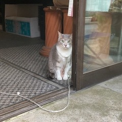 あまり時間がありません。何とぞよろしくお願いします。