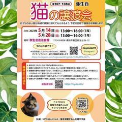 横浜市泉区　猫の譲渡会　主催にゃぶ　2023年5月