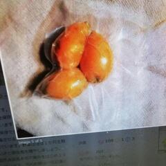 山間部・田舎の廃屋古家譲ってください。の画像