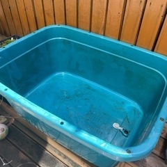 【値下げしました】トロ船　たらいの画像