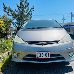 エステテイマ　T