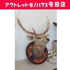 鹿の剥製 オブジェ トロフィー コレクション 壁掛け シカ しか ☆ 札幌市 北区 屯田 