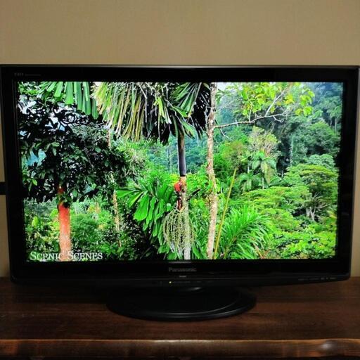 Panasonic 32型液晶テレビ ビエラ TH-L32X1